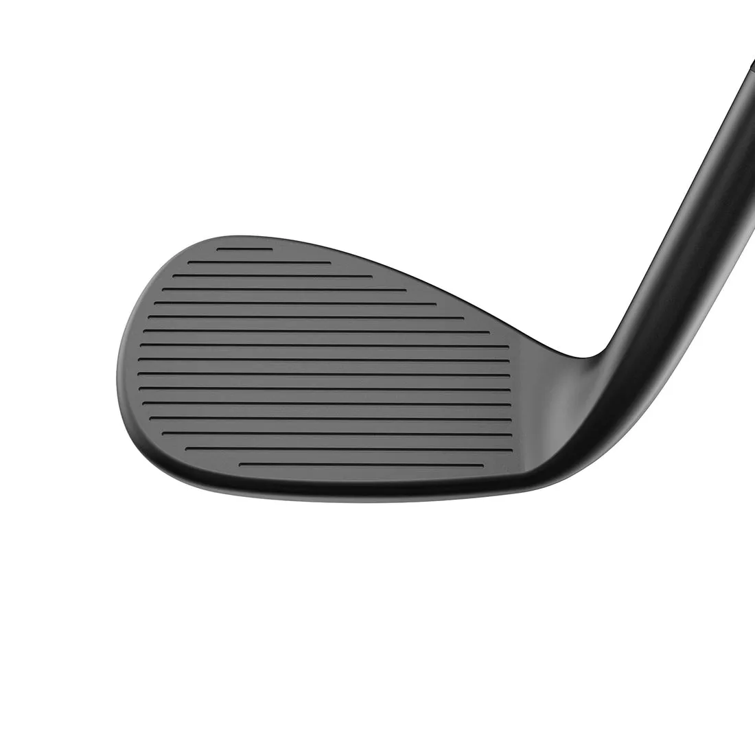 Cobra Snakebite 2023 Wedge