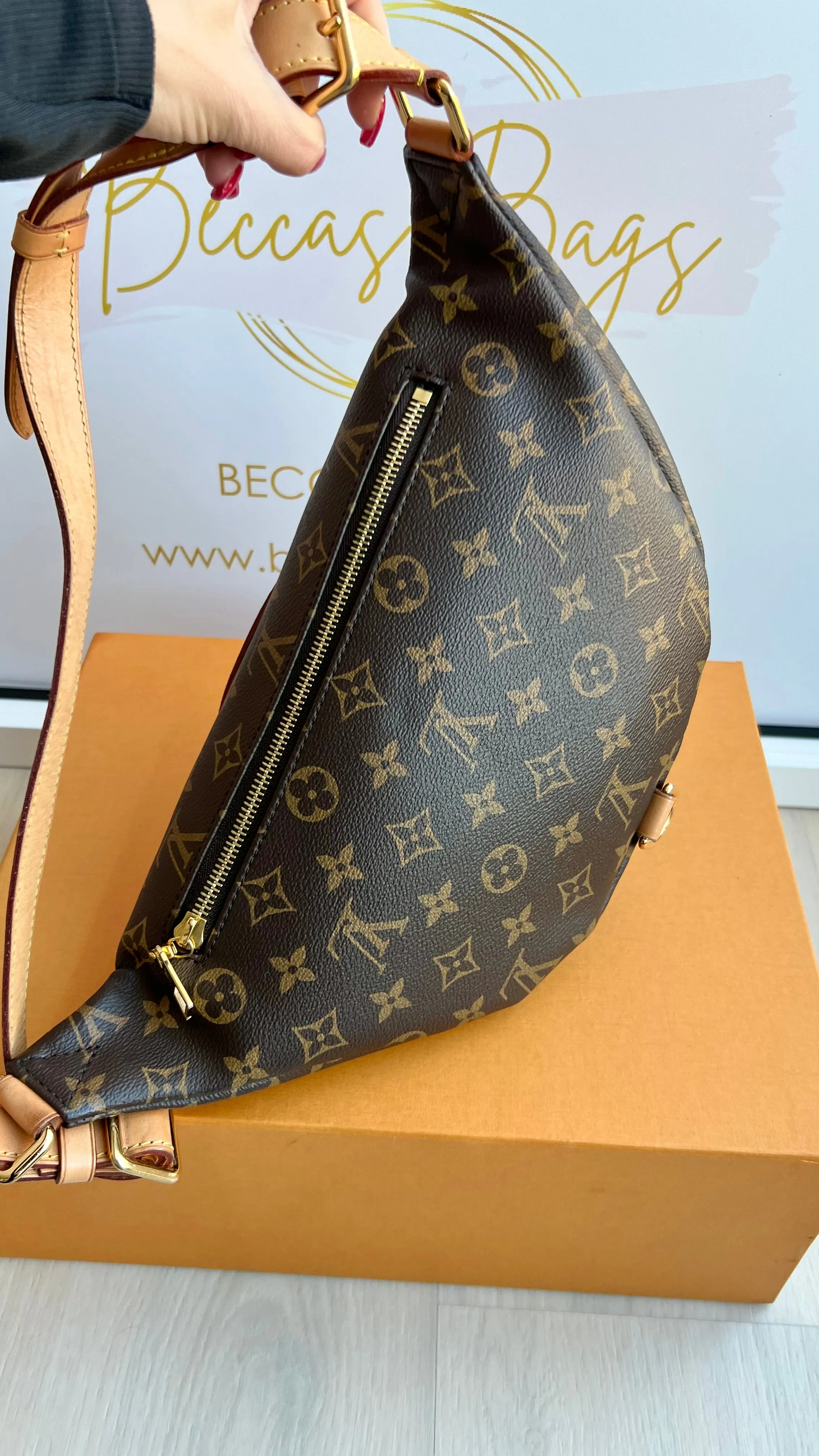 Louis Vuitton Bumbag