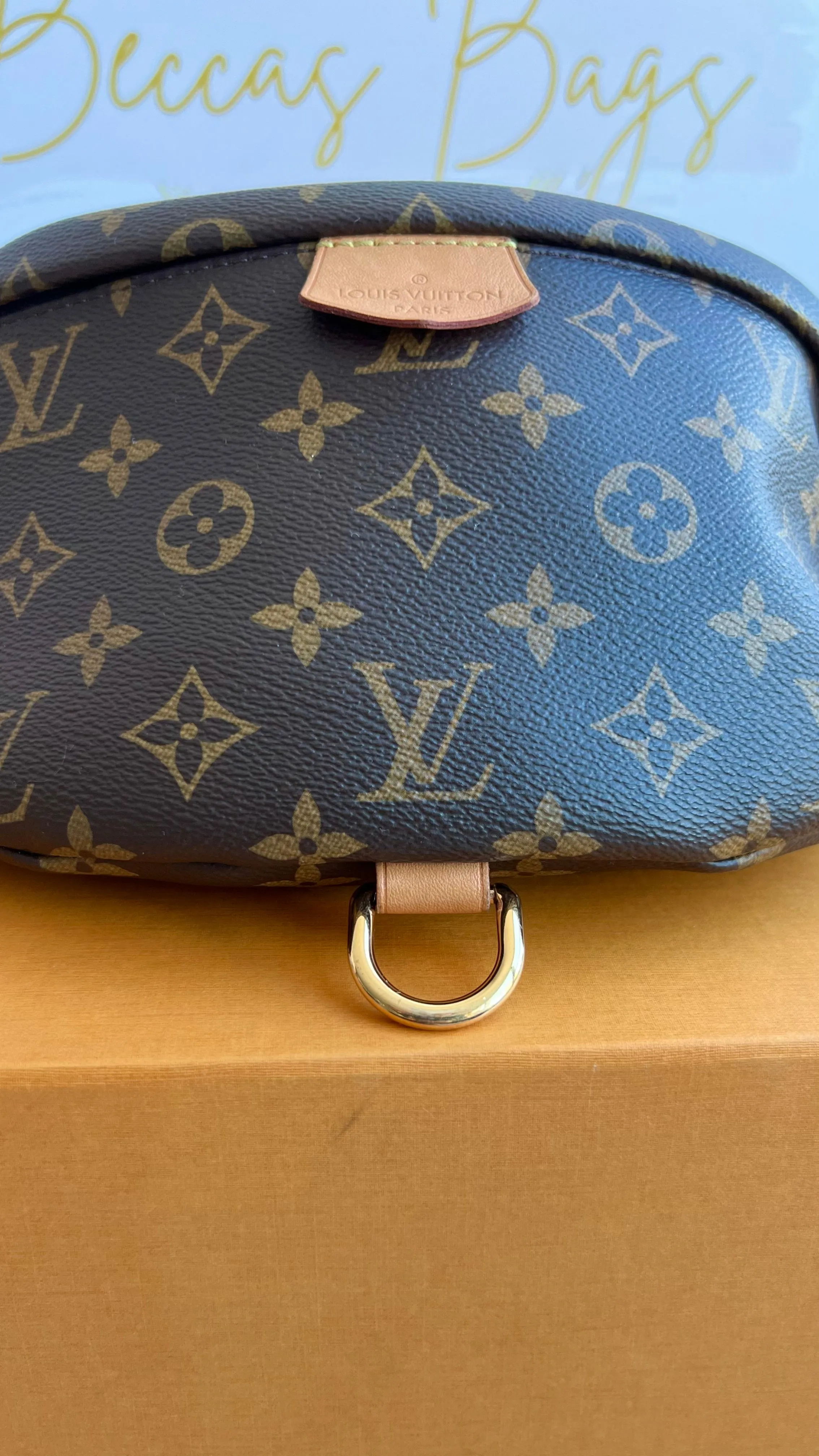 Louis Vuitton Bumbag